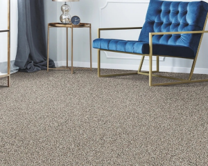 Plush Carpet